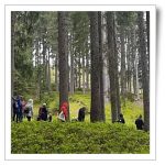 Partner tour in the forest of Valle de Fiemme